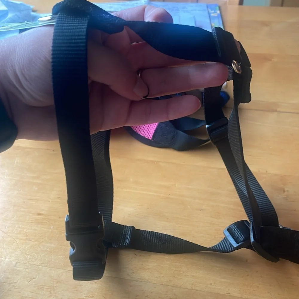 Lupine Roman Harness 3/4in 20-32”